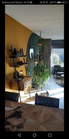 a living room filled with furniture and a potted plant on top of a wooden table