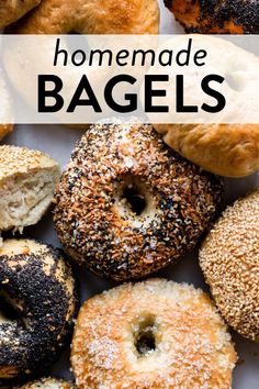 bagels with sesame sprinkled on them and the title reads homemade bagels