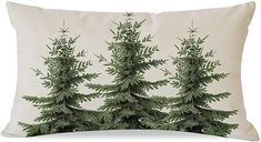 Amazon.com: Sage Green Christmas Pillows - Prime Eligible Green Christmas Pillows, Sage Green Christmas, Christmas Pillows, Green Christmas, Sage Green, Pillows, Christmas