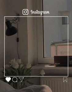 an instagram frame with flowers in the foreground and a radio on the window sill