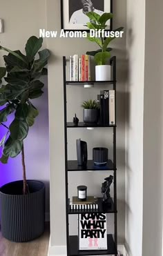 there is a plant in the corner of this book shelf next to a potted plant