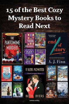 the best cozy mystery books to read next