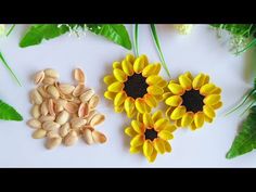 two sunflowers and some green leaves on a white surface