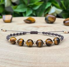 TIGERS EYE 👁️  Fully adjustable in size  Brown thread with gold beads Tiger Eye Bracelet Meaning, Tigers Eye Bracelet Men, Tigers Eye Beaded Bracelet, Tiger's Eye Bracelet, Tigers Eye Crystal, Tiger Stone Bracelet, Tiger Eye Crystal, Tiger Eye Bracelet, Eye Bracelet