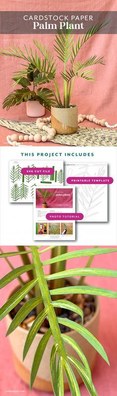 an image of some plants in a pot on a pink background with text that reads the project includes