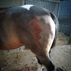 a horse with an arrow painted on it's face