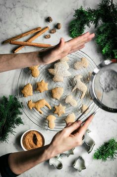 two hands reaching for cookies on a plate