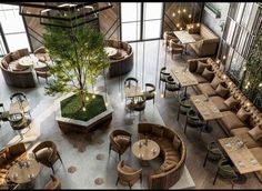 an overhead view of a restaurant with wooden tables and chairs, green plants on the table