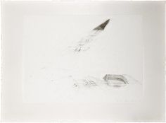 a pencil drawing of a bird flying in the sky