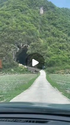 a car driving down a road next to a lush green hillside