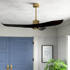 a living room with blue doors and a ceiling fan