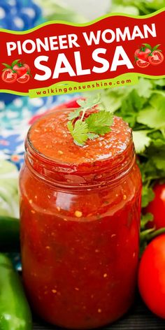 One of the best salsas you can savor is homemade salsa. Make the BEST pioneer woman salsa recipe in just 10 minutes! This homemade recipe is made with canned tomatoes, jalapenos, fresh lime juice, and spices. Save this to your Cinco de Mayo appetizer recipes! Amish Salsa Recipe, Mexican Village Salsa Recipe, Canned Mild Salsa Recipe, Award Winning Salsa Recipe, Salsa Using Canned Tomatoes, Quick Salsa Recipe, Rotel Salsa Recipe, Pioneer Woman Salsa, Canned Rotel