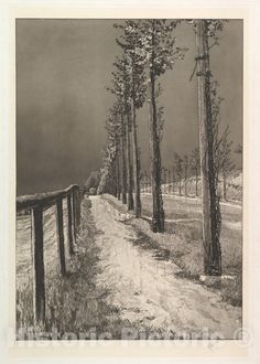 a black and white drawing of trees on a dirt road