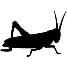 a black and white silhouette of a grasshopper or praying mantissa on a white background