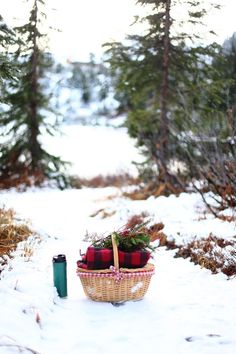 a basket filled with red and white blankets sitting on top of snow covered ground next to trees