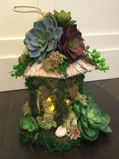 a birdhouse with succulents and lights in it