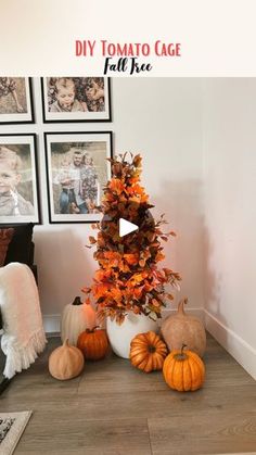 an arrangement of pumpkins and gourds in a living room with pictures on the wall