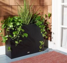 a planter on the front porch is filled with plants