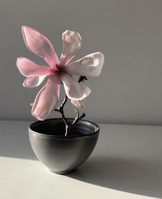 a pink flower in a black vase on a table