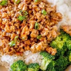 a plate with rice, broccoli and some kind of meat on top of it