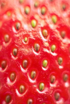 close up view of the inside of a strawberry