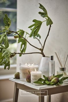 candles and figurines are arranged on a table next to a potted tree