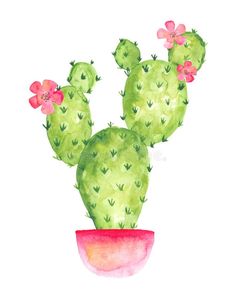 a watercolor painting of a cactus in a pot with pink flowers on the top