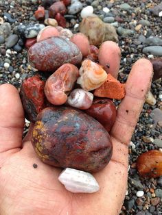 Rock Hunting, Rock Minerals, Geology Rocks, Beautiful Rocks, Beach Combing