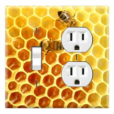 two bees sitting on top of a honeycomb in the middle of some electrical outlets