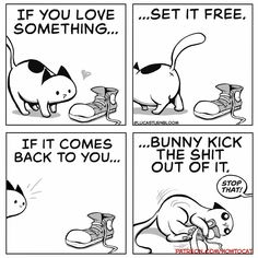 the comic strip shows how cats can use shoes