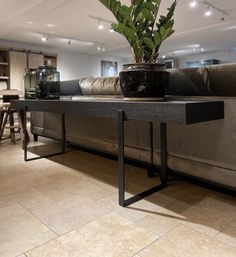 a living room with a couch, coffee table and potted plant on the end