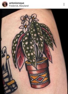 a potted plant with white flowers on the side of a woman's thigh