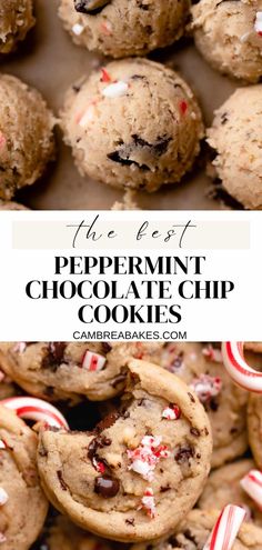 peppermin chocolate chip cookies with candy canes on top and the words, the best peppermin chocolate chip cookies