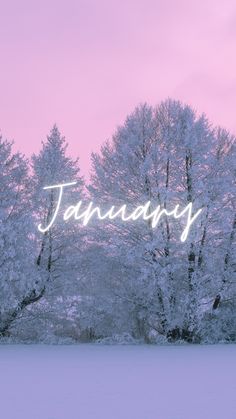 Snow covered poplar trees with pink sky and January written on top of image January Iphone Wallpaper, January Wallpapers, January Background, January Wallpaper, Iphone Wallpaper Cute, Hello January, Winter Iphone, Iphone Wallpaper Winter, New Year Wallpaper