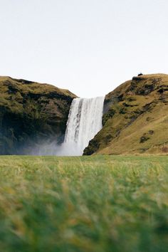 sheep grazing in front of a waterfall on the side of a grassy hill with tall grass