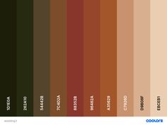 an image of the color scheme for different shades of brown, green and oranges