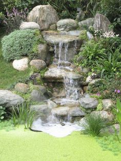 a small waterfall in the middle of a garden