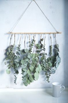 some green plants hanging from a wooden rack next to a white cup on a table