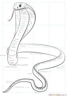 a drawing of a snake that is in the water