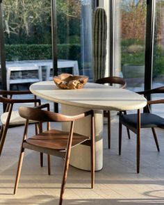 a dining table with chairs around it and a cactus in the corner next to it