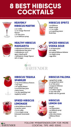 Best Hibiscus Cocktails Hibiscus Recipe, Hibiscus Margarita, Hibiscus Cocktail, Hibiscus Drink, Bartender Drinks Recipes, Bartender Drinks, Yummy Alcoholic Drinks, Spring Cocktails