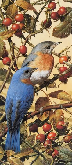 a painting of two birds sitting on top of a tree branch with berries in the background