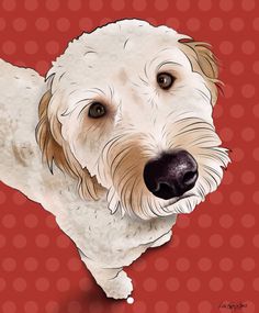 a painting of a white dog with black nose and brown eyes on a red background