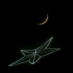 an airplane is flying in the sky with a crescent moon behind it at night time