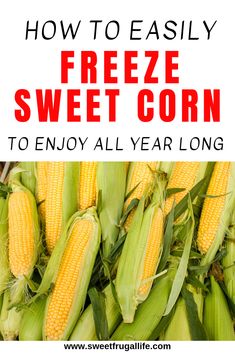 corn on the cob with text overlay how to easily freeze sweet corn to enjoy all year long