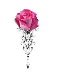 a single pink rose is shown on a white background with an ornate border around it