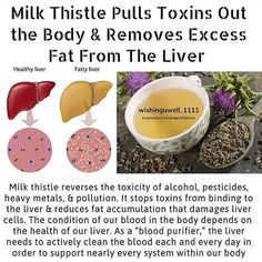 Pin on It's Natural: Herbal Detoxifying Herbs, Health And Fitness Articles, Milk Thistle, The Liver, Hormone Health