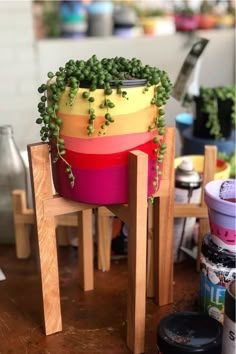 a potted plant sitting on top of a wooden table