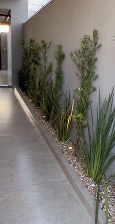 an empty hallway with plants and rocks on the floor next to it in front of a building