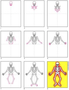 the diagram shows how to draw a skeleton in different positions, including one with arms and legs